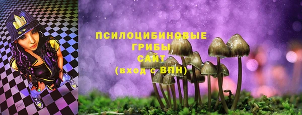 гашиш Няндома